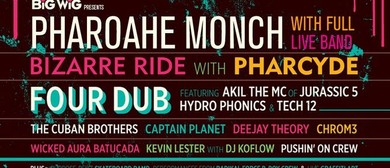 Eclectic Music Phenomenon Big Wig Festival Eclectic Music Phenomenon Big Wig Festival