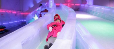 Ice Art Exhibition Opens In Singapore