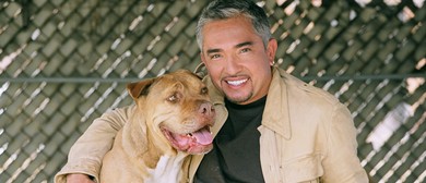 Cesar Millan Singapore Date - Dog Lovers Unite