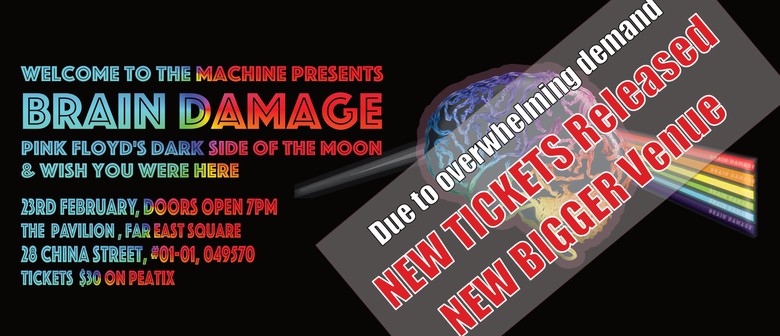 Brain Damage by Welcome To The Machine