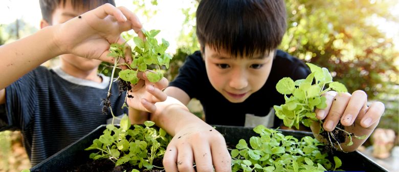 Geneco Hands-On Nature Activities for Children