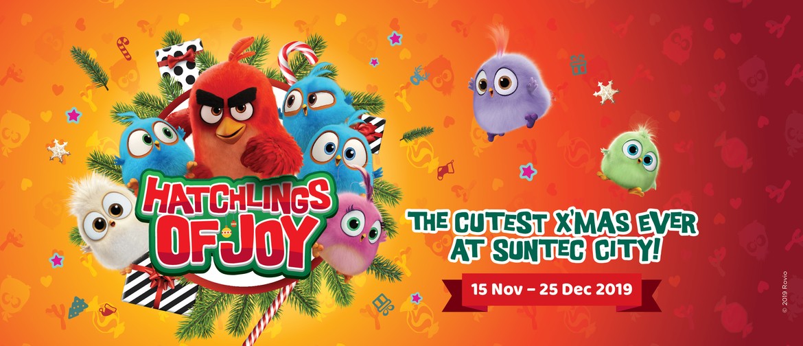 Hatchlings of Joy Hatchlings of Joy