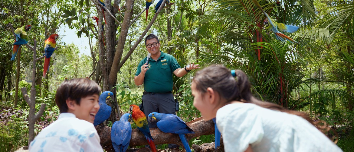 Meet the Flock at Bird Paradise