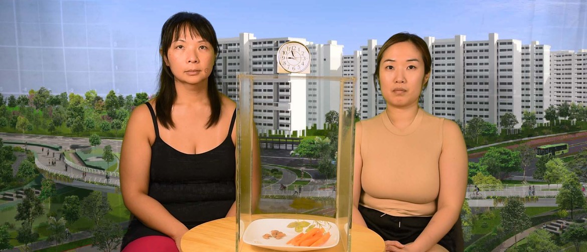 Timeless Youth Image of artists Choi Minkyung and Sit Weng San, taken from a still of their video work that is being exhibited