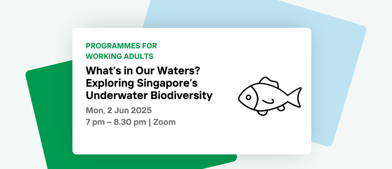 What’s in Our Waters? Exploring Singapore's Underwater