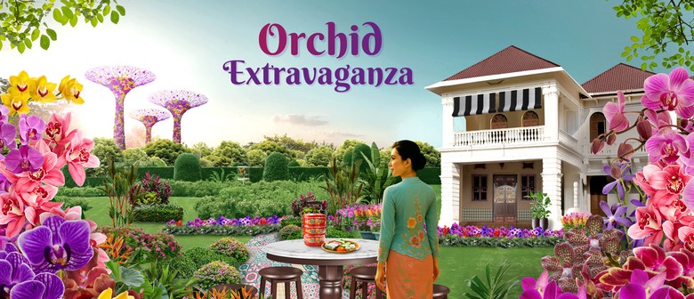 Orchid Extravaganza