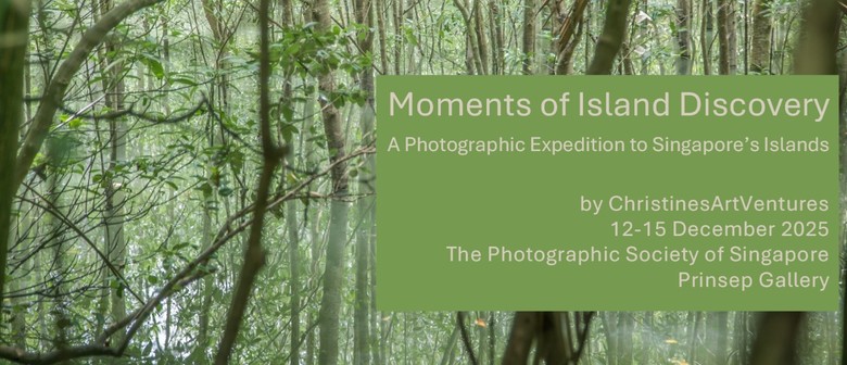 Moments of Island Discovery