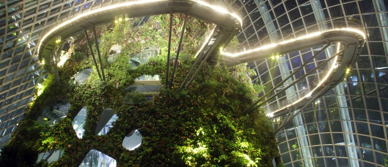 Cloud Forest and Outdoor Gardens
